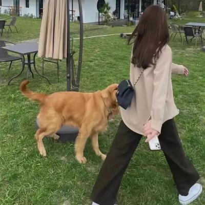 鹿角男孩第三季